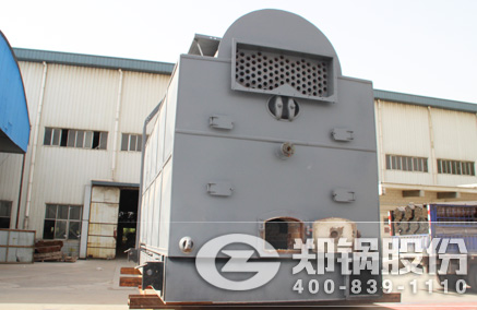 DZL链条炉排锅炉 - 365速发国际