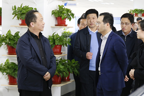 河北省工业和信息化厅厅长龚晓峰莅临365速发国际