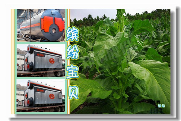 燃气热水锅炉100kw 400kw价钱